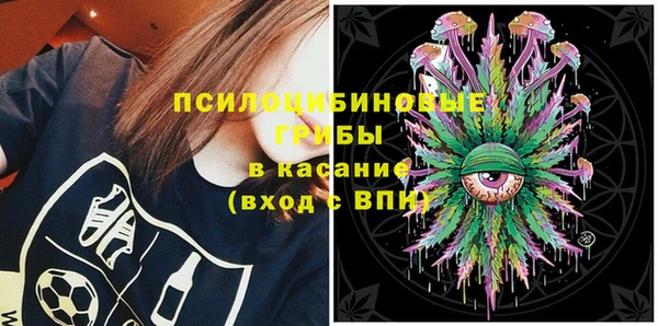 мдпв Арсеньев