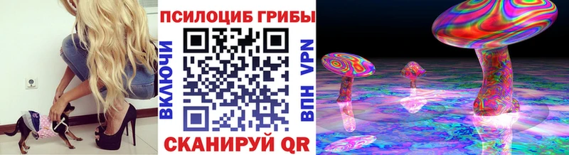 Псилоцибиновые грибы мухоморы  закладки  МЕГА как войти  Абаза 